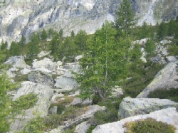 Pietraie