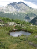 Stagno