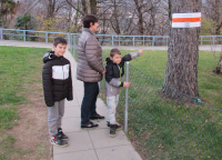Attività per tutta la famiglia